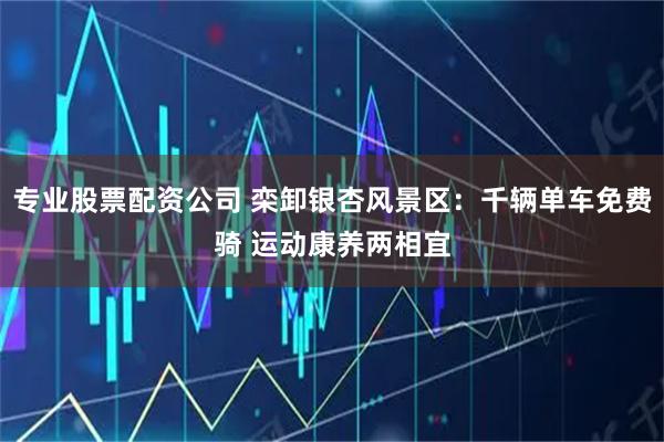 专业股票配资公司 栾卸银杏风景区:千辆单车免费骑 运动康养两相宜