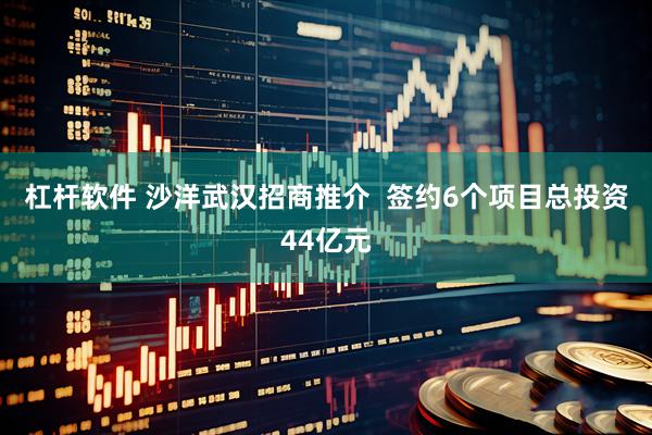 杠杆软件 沙洋武汉招商推介  签约6个项目总投资44亿元