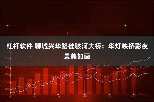 杠杆软件 聊城兴华路徒骇河大桥：华灯映桥影夜景美如画