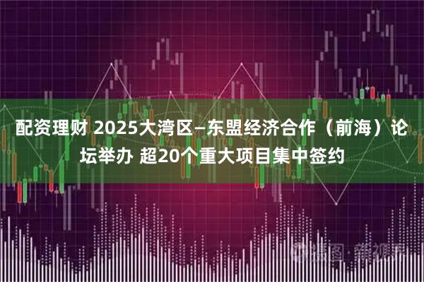 配资理财 2025大湾区—东盟经济合作（前海）论坛举办 超20个重大项目集中签约