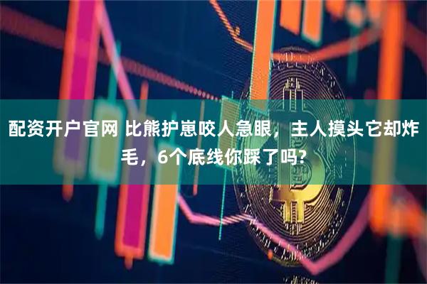 配资开户官网 比熊护崽咬人急眼，主人摸头它却炸毛，6个底线你踩了吗?